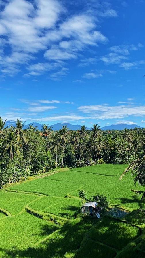 Nirwa Ubud Karma Экстерьер фото
