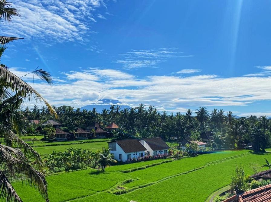 Nirwa Ubud Karma Экстерьер фото