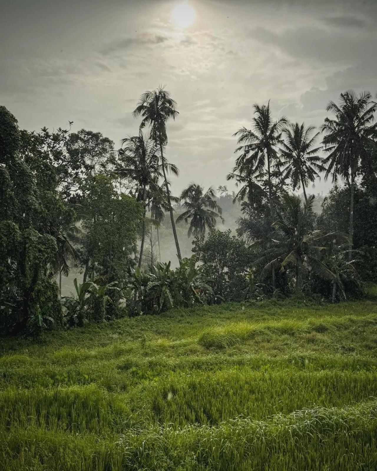 Nirwa Ubud Karma Экстерьер фото