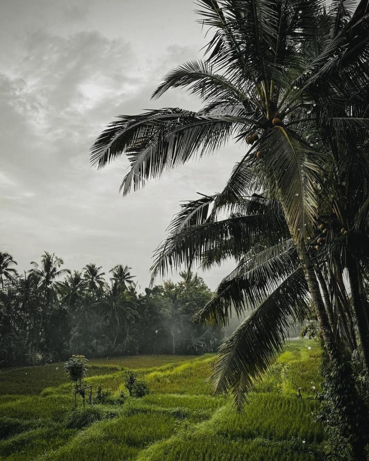 Nirwa Ubud Karma Экстерьер фото