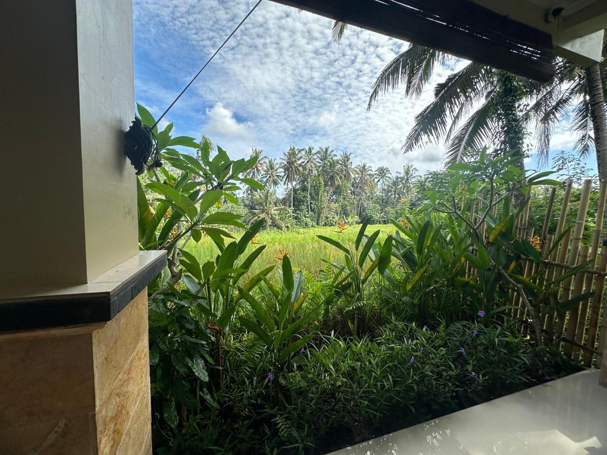 Nirwa Ubud Karma Экстерьер фото