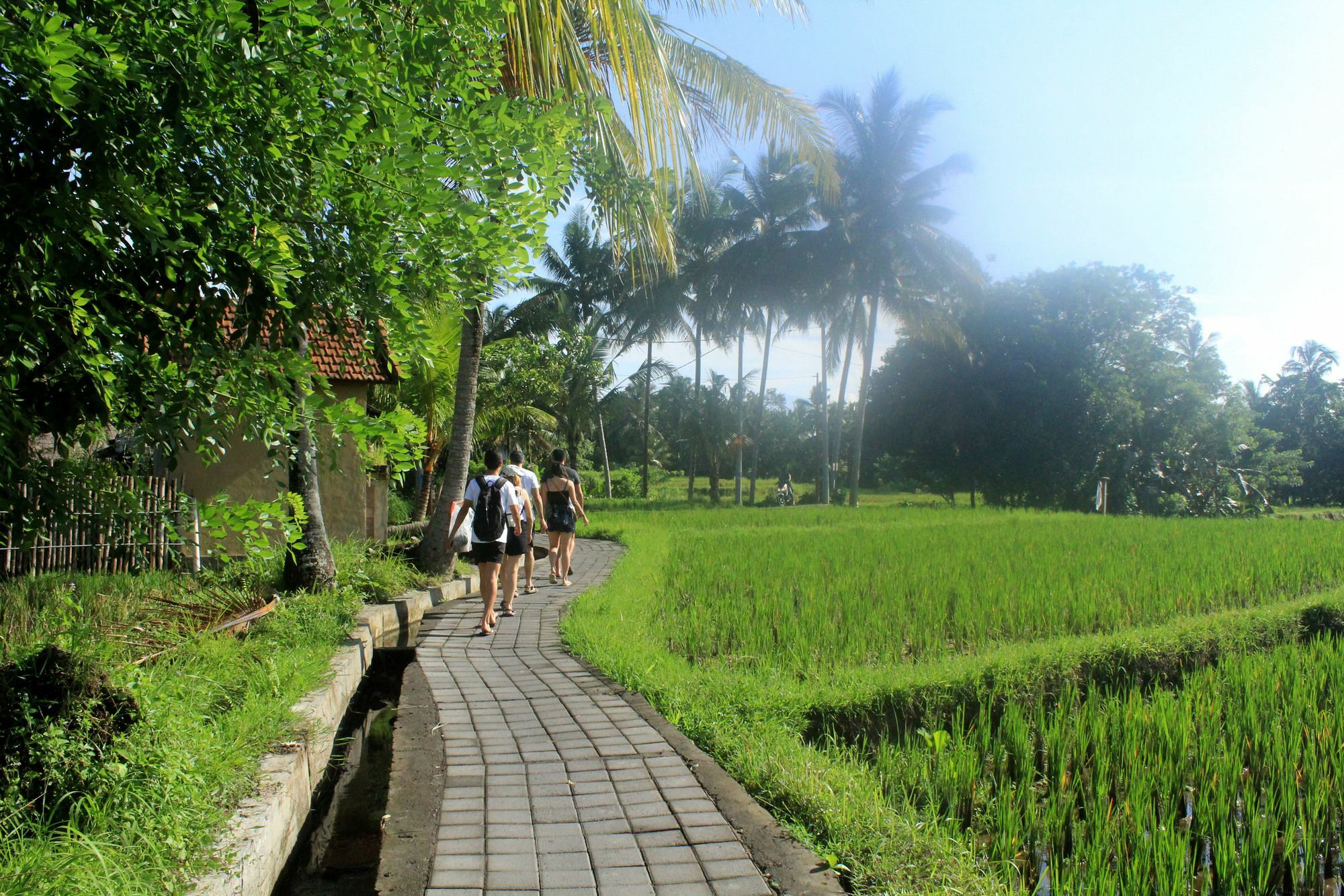 Nirwa Ubud Karma Экстерьер фото